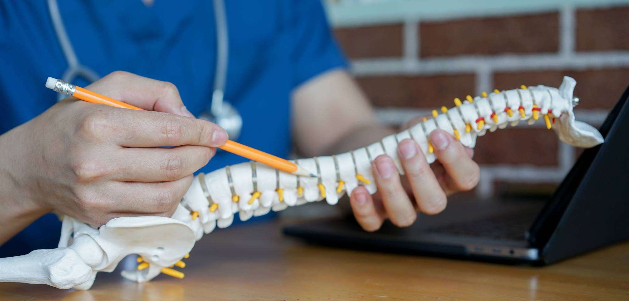 Kyphosis vs. Scoliosis